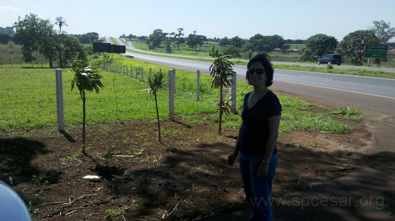 2010-11-04_10-09-08_448.jpg - Paradinha indo para Rio Preto